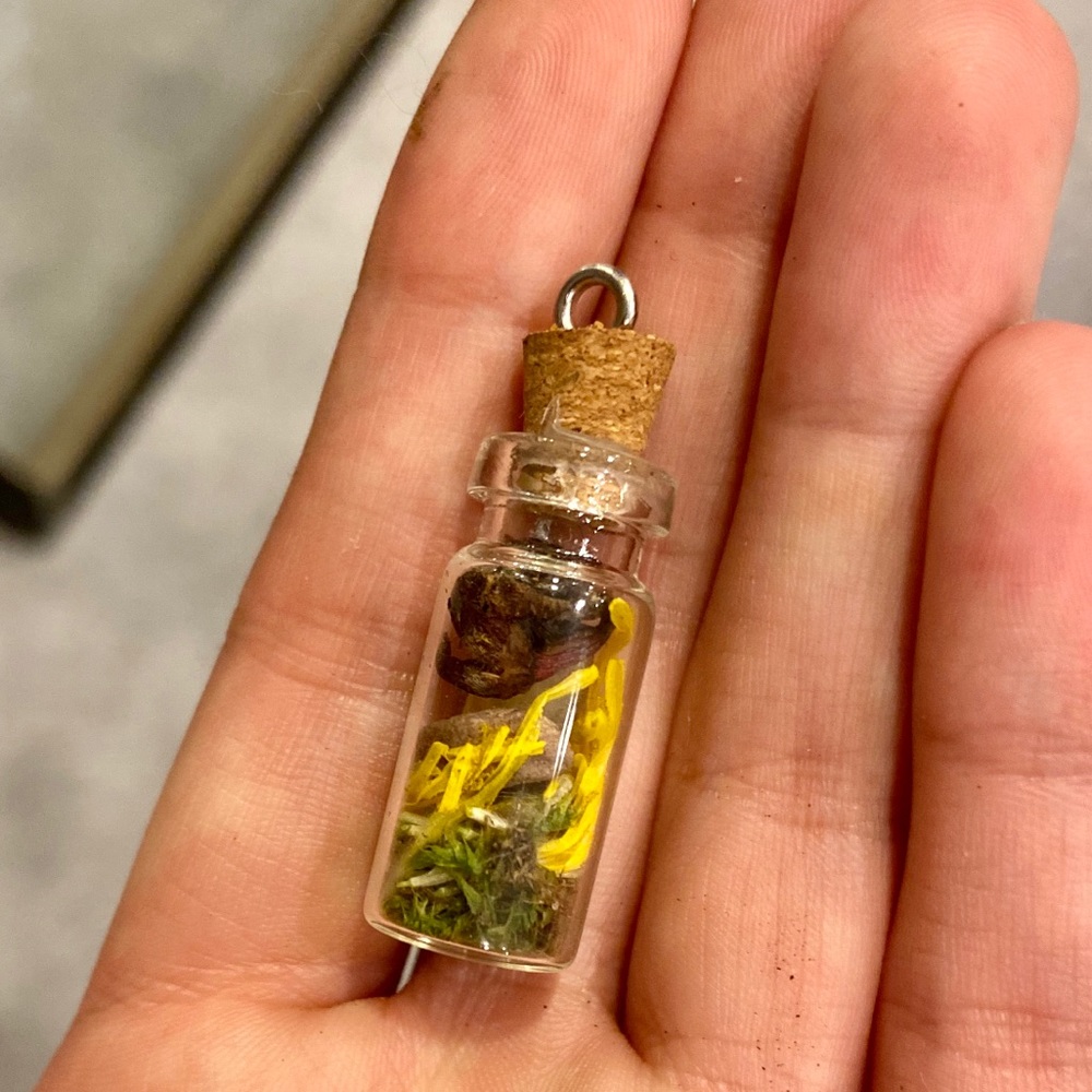 Handmade terrarium jar real silver necklace